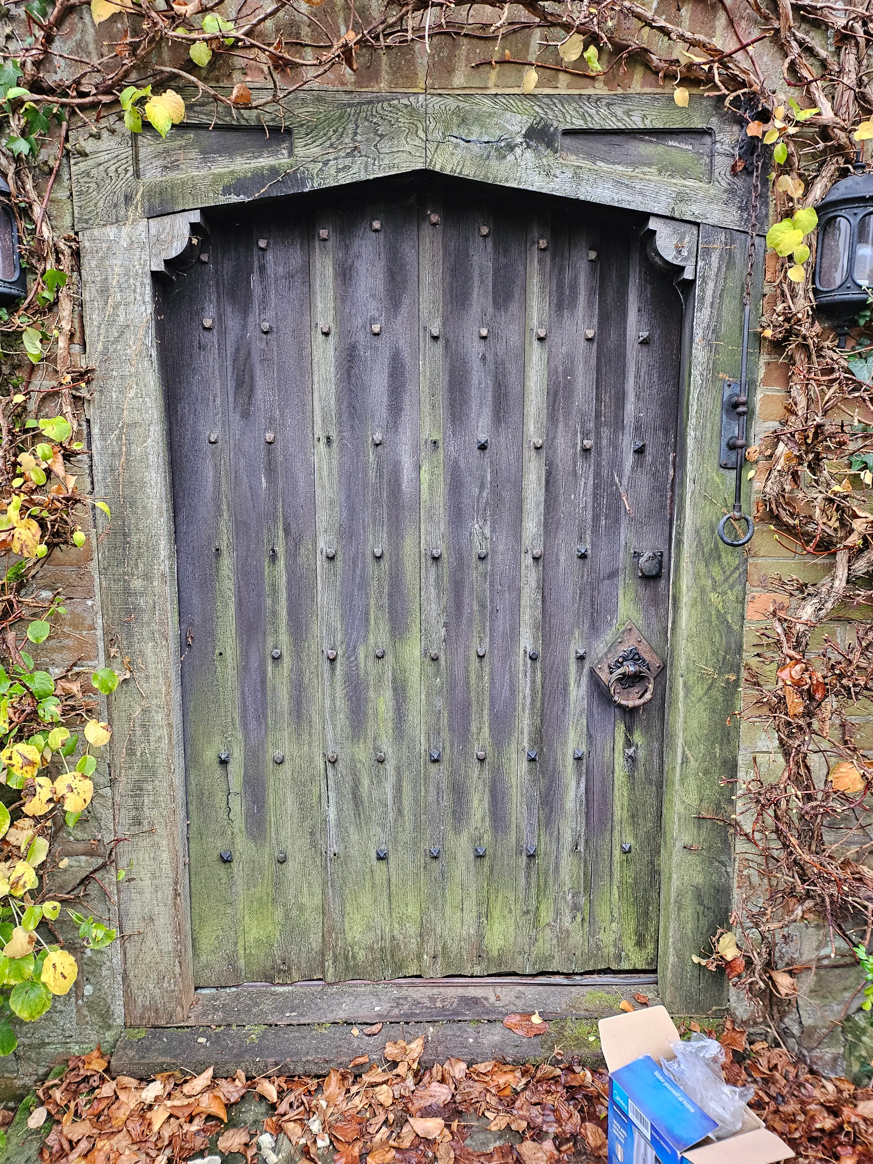 The same studded oak door weathered, mossed and rotten, lying in autumn leaves before restoration
